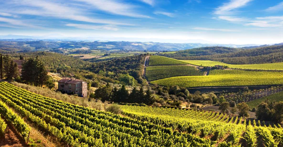 From Florence: Private Half-Day Chianti Tour & Wine Tasting - Who should book this private Chianti half-day tour?