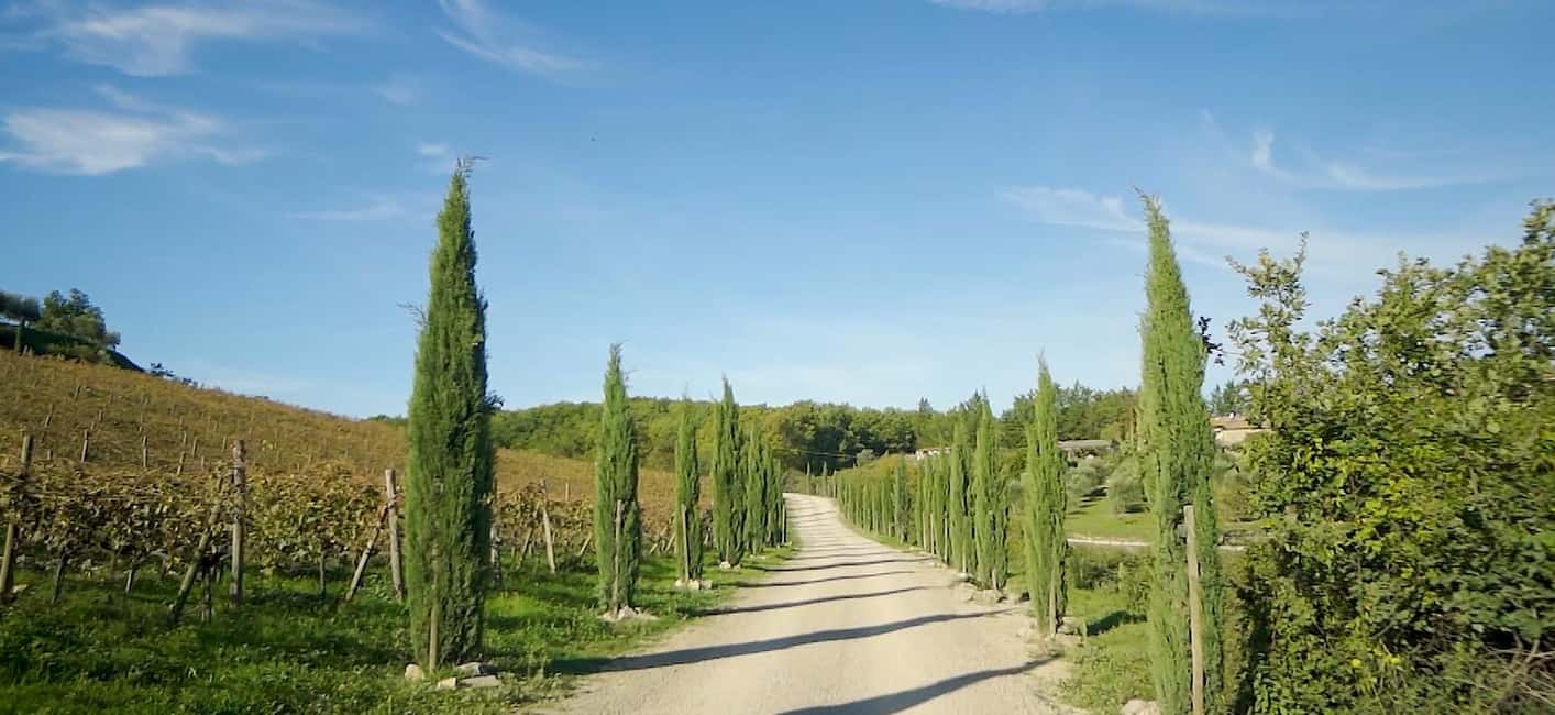 From Florence: Private Half-Day Chianti Tour & Wine Tasting - Greve in Chianti and the Chiantigiana Road: small-town charm with a plan