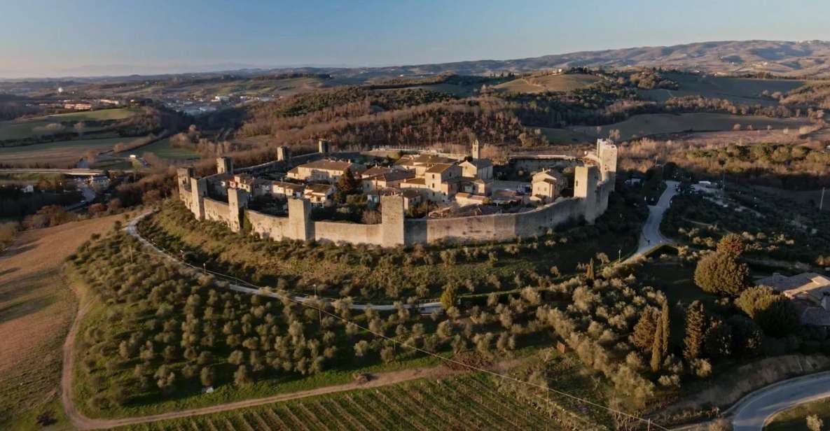 From Florence: Private Siena, San Gimignano + wine tasting - Wine Tasting in the Countryside: Vernaccia and Olive Oil