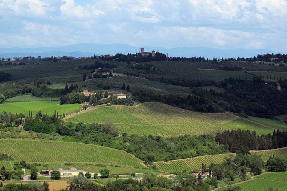 From Florence: Private Wine Tasting Tour in Chianti - Before you go: what to pack and what to remember