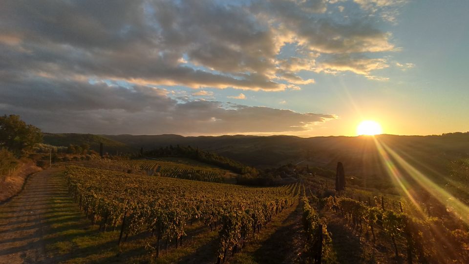 From Florence: Private Wine Tasting Tour in Chianti - Olive oil is part of the curriculum, not a side dish