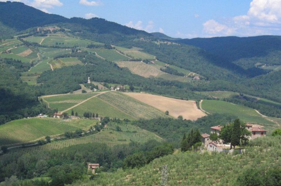 From Florence: Private Wine Tasting Tour in Chianti - The real Tuscan experience: hillside wine culture in six and a half hours