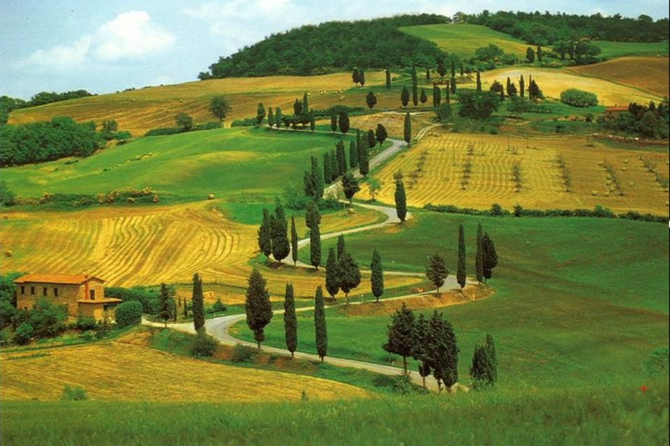 From Florence: Private Wine Tasting Tour in Chianti - Price and value: is $586.07 per person worth it?