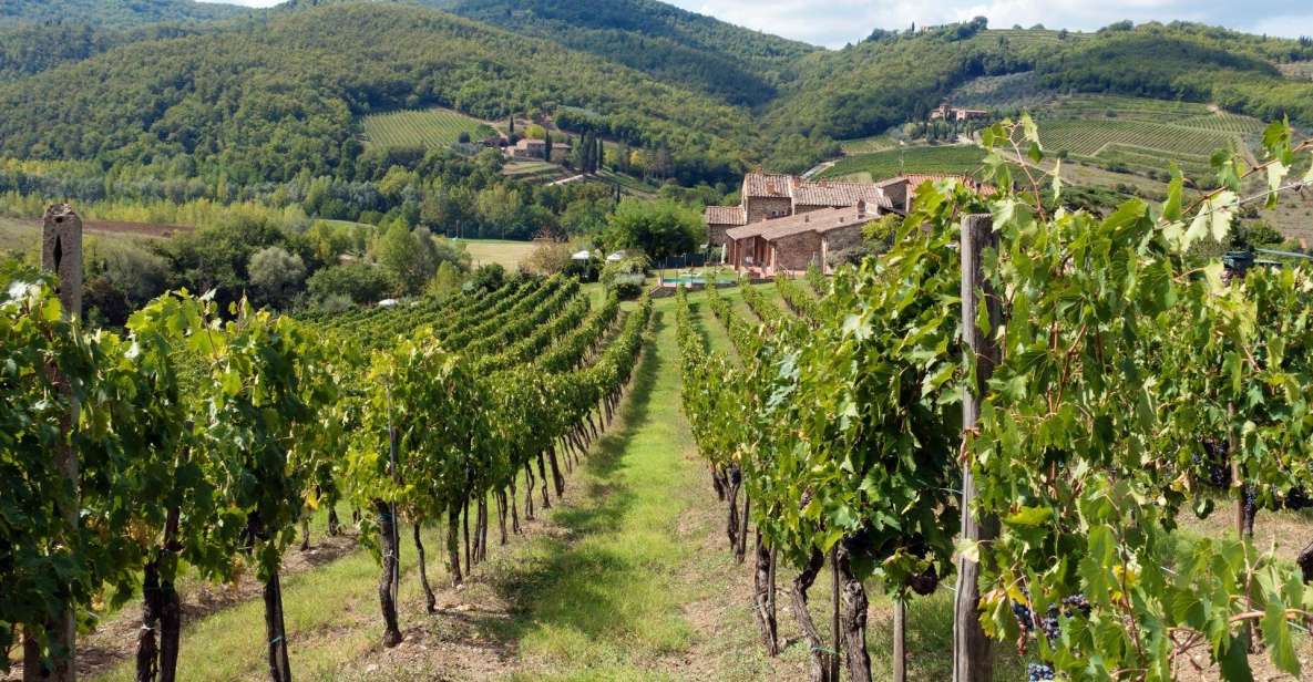 From Florence: Private Wine Tasting Tour in Chianti - Who should book this Chianti private wine and olive oil tour?