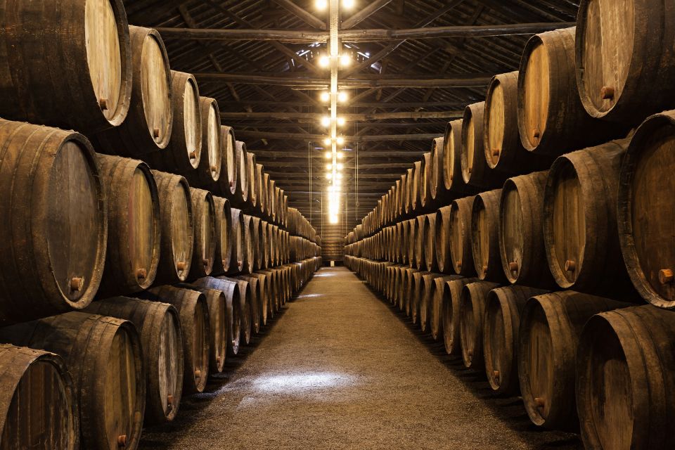 From Florence: Semi Private Deep Wine Chianti San Gimignano - San Michele a Torri: family-run winery tasting in Florence’s wine province