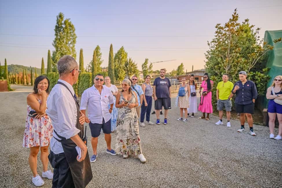 From Florence: Siena and Chianti Day Trip with Dinner - Catching the Sunset View in Siena Without Getting Caught in the Bus Window
