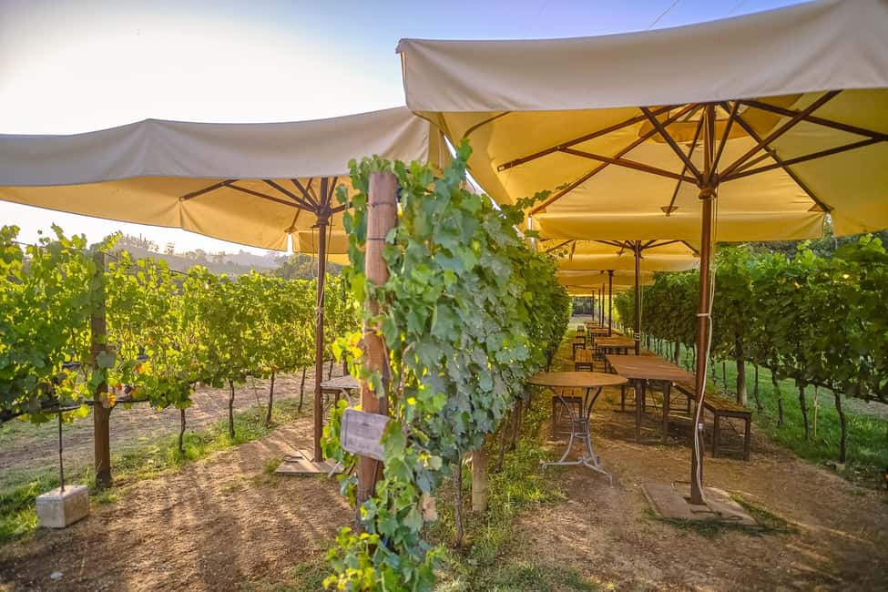 From Florence: Siena and Chianti Day Trip with Dinner - Who This Tour Fits Best (and Who Should Skip It)