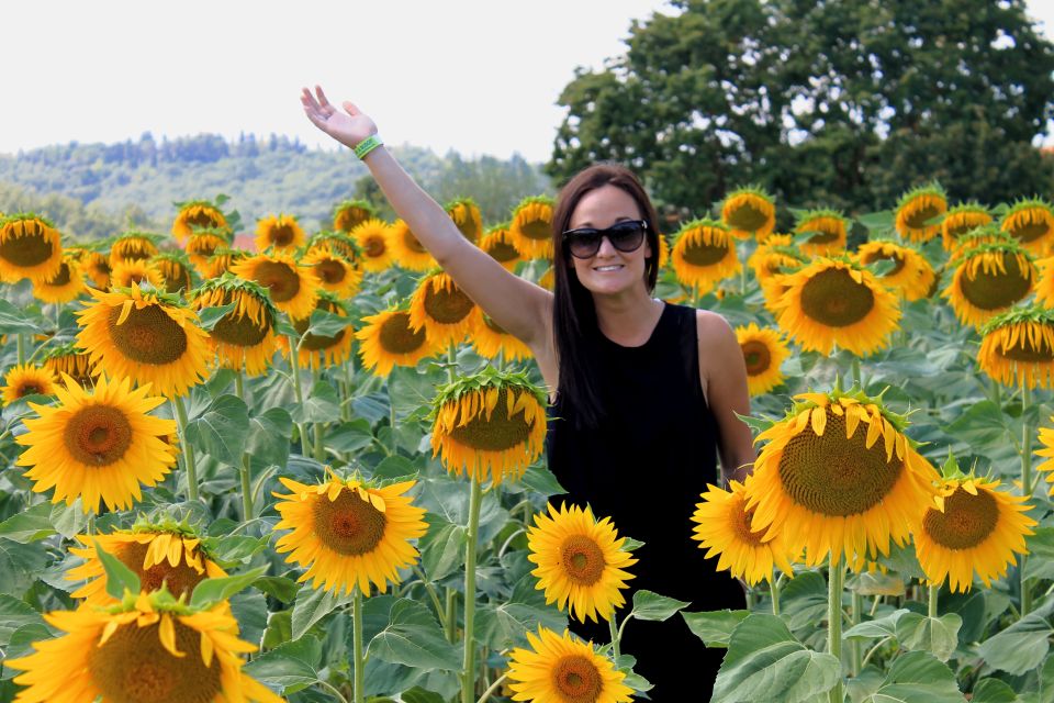 From Florence: Siena, Cortona, Montepulciano & Val D'Orcia - Should you book it?