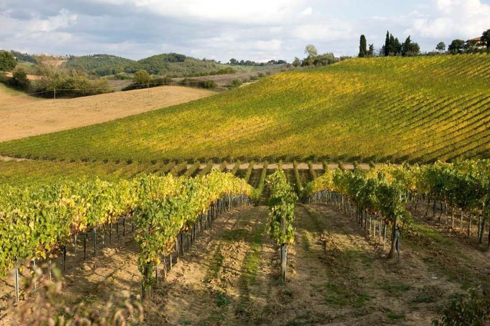 From Florence: Siena & San Gimignano Tour with Wine & Lunch - Who should book this Siena and San Gimignano wine tour