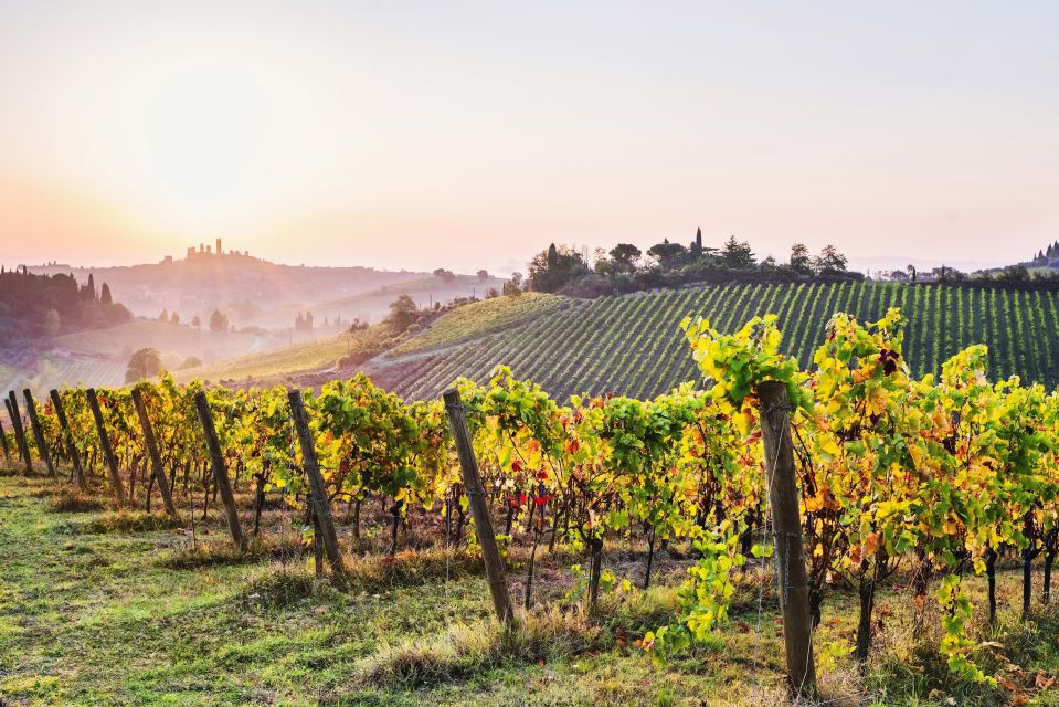 From Florence: Siena & San Gimignano Tour with Wine & Lunch - The wine tasting: what you’ll actually get from the 4 flights