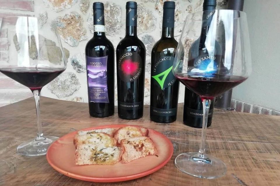 From Florence: Siena & San Gimignano Tour with Wine & Lunch - Group day reality: coach comfort, timing, and walking expectations