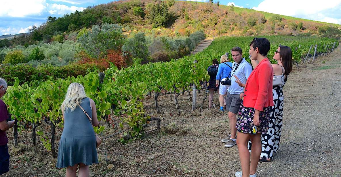 From Florence: Small-Group Chianti Wine Tour 2024 - From Piazza Cavalleggeri: the smooth start outside Florence