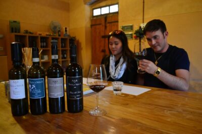 From Florence: Small-Group Chianti Wine Tour 2024 - The one-hour van ride into Chianti hills sets the tone
