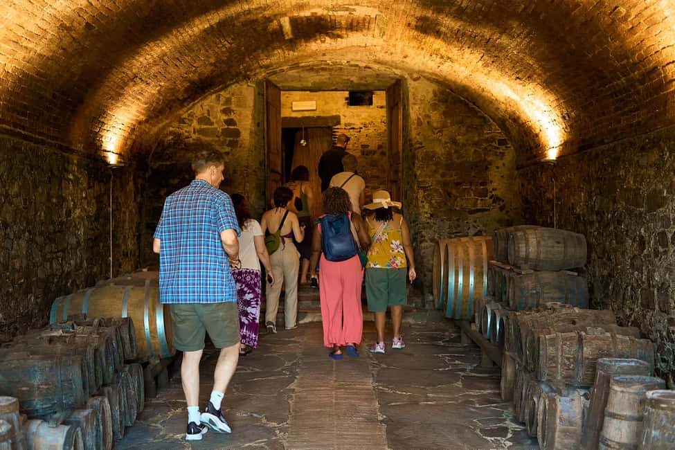 From Florence: Small Group Chianti Wine Tour with Lunch - Key Highlights You’ll Notice
