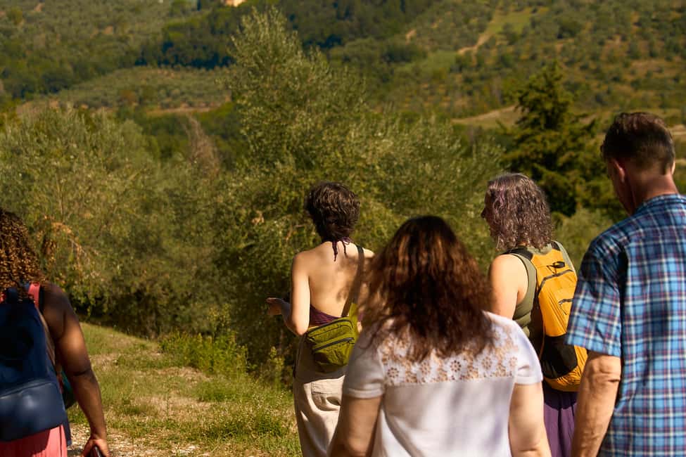 From Florence: Small Group Chianti Wine Tour with Lunch - Leaving Florence for Chianti Hills in a Mercedes Minivan