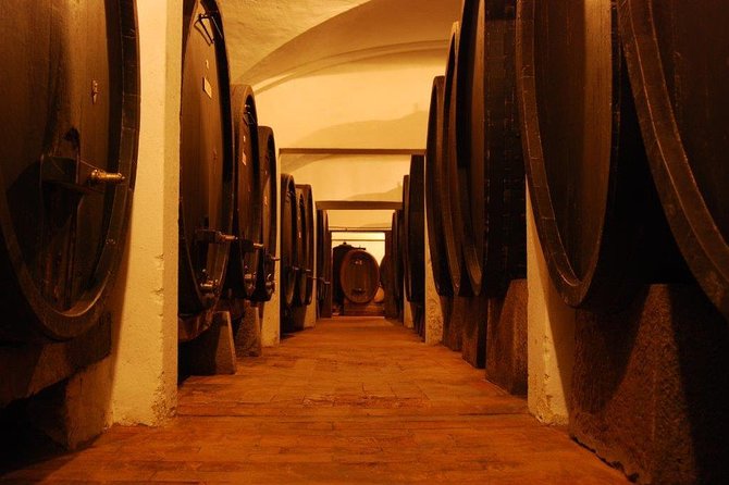 From Florence to Chianti Rufina: Wine Tasting Experience - Price and value: what $35.07 buys you