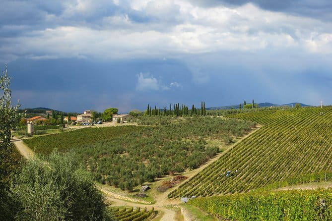 From Florence to Siena - San Gimignano & Pisa by private minivan - Price and value: when this private tour is worth the money