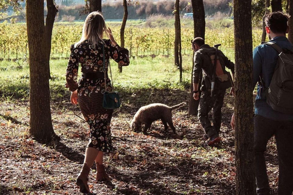 From Florence: Truffle Hunting with Lunch & Transportation - Wine and Olive Oil Tasting: many Tuscan wines, plus expert guidance