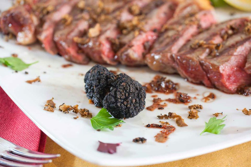 From Florence: Truffle Hunting with Lunch & Transportation - Who this tour fits best (and who should look elsewhere)