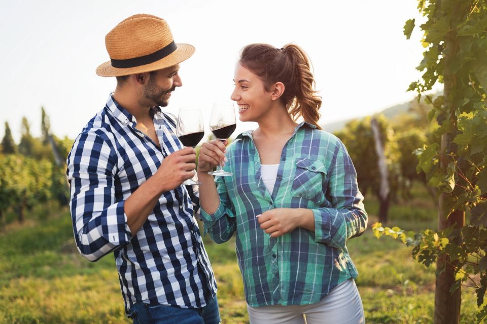 From Florence: Tuscany Day Trip with a Private Chauffeur - San Gimignano’s Town of Fine Towers