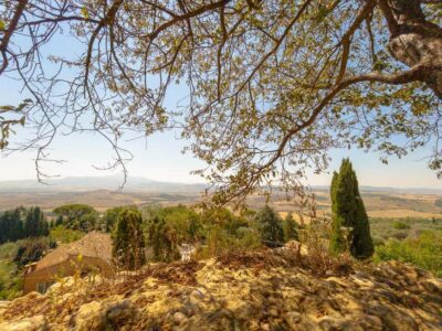 From Florence: Val D'Orcia Tour with Wine Tasting - The Meeting Point Routine (How Not to Start the Day Rushing)