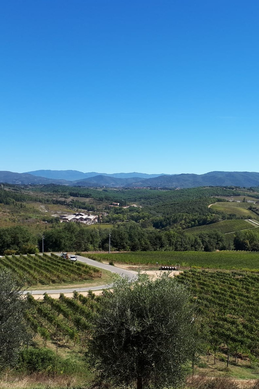 From Florence: Vintage Fiat 500 Chianti & Tuscany Wine Tour - Panoramic Florence viewpoint stops: the part that hits fast