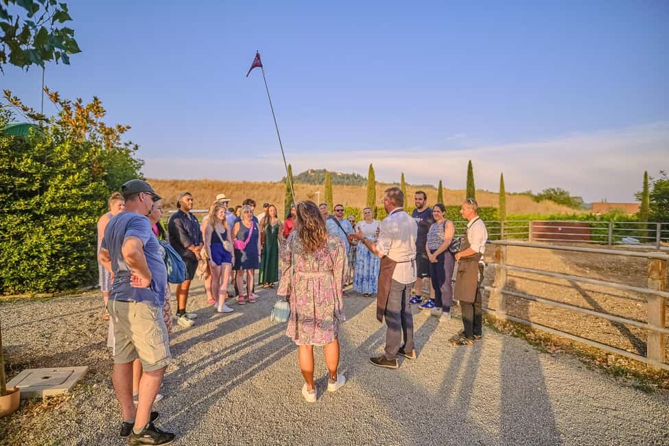From Florence: Wine Tasting and Dinner in Chianti Vineyards - A possible village pause in Greve in Chianti: worth it if you treat it as a breather
