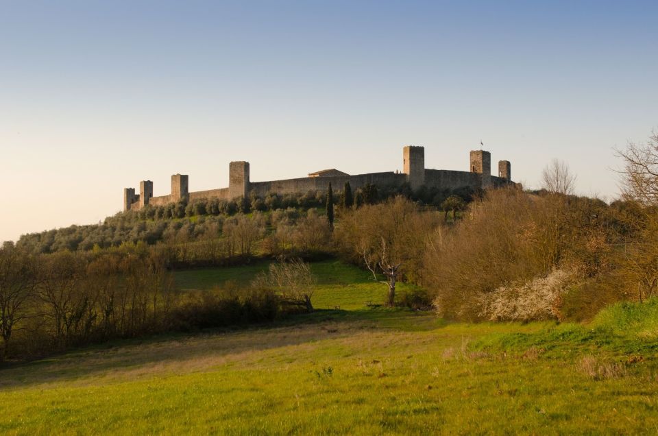 Full-Day Excursion to Siena, San Gimignano & Chianti - Siena Guided Walk: Piazza del Campo and the Cathedral Focus