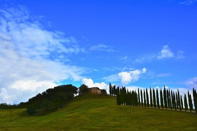 Full Day PRIVATE Guided Tour in Val D'Orcia Region - Timing, comfort, and practical tips for a 9–10 hour day