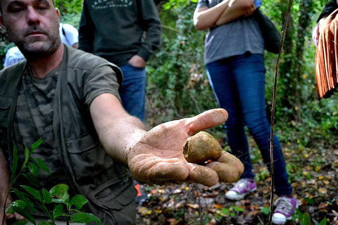 Full-Day Small-Group Truffle Hunting in Tuscany with Lunch - Your truffle hunt results: what to expect (and not expect)