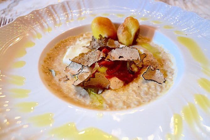 Full-Day Small-Group Truffle Hunting in Tuscany with Lunch - Meeting the truffle hunter and the trained dog in action