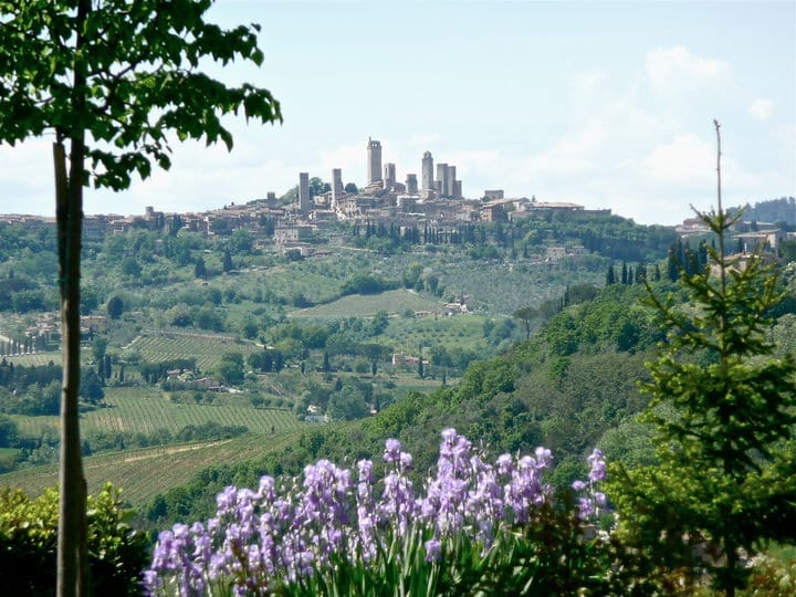Full-Day Tour of Tuscany from Florence-small group up 8 pax - FAQ