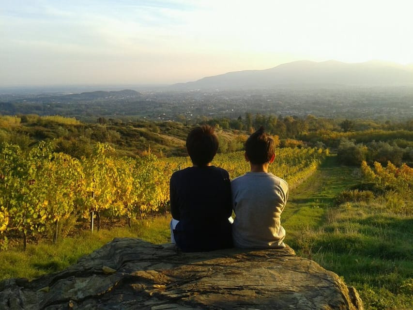 Full-Day Tour of Tuscany from Florence-small group up 8 pax - Should you book this Tuscany small-group tour?