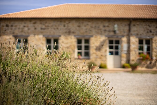 Gourmet Wine & Food Tasting - Why organic-biodynamic pairings make a difference at the table