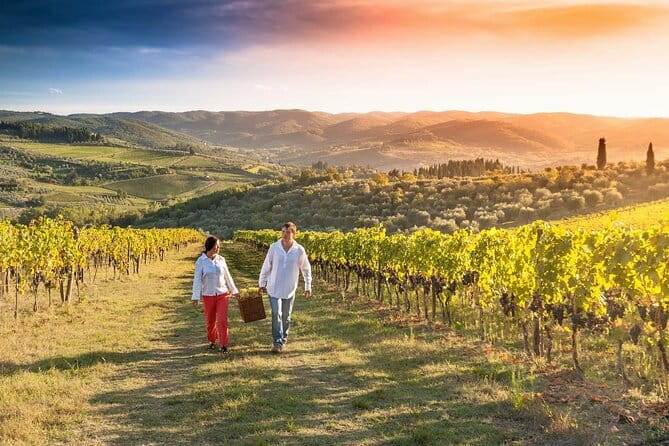 Grape Stomping and Wine Tasting in Tuscany - Tuscany Grape Stomping: What You’re Actually Signing Up For