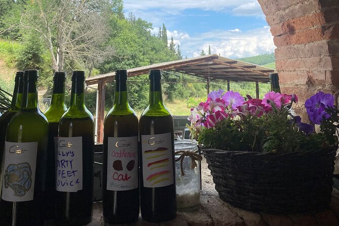 Grape Stomping Experience and Wine Tasting - Traditional stomping: the hands-on part that makes the wine story click
