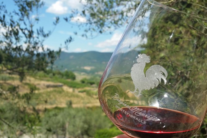 Greve in Chianti Wine Tasting and Winery Tour - Azienda Agricola Brogioni Maurizio: What This Tour Really Feels Like