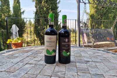 Greve in Chianti Wine Tasting and Winery Tour - Stop 1 at the Vineyard: Chianti Classico History + Olive Oil First