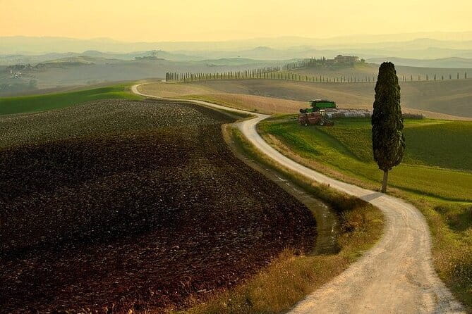 Guided tour in wonderful Tuscany - Agriturismo Baccoleno: the cypress avenue view you’ll keep thinking about