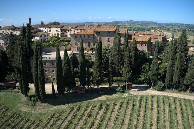 Guided tour with wine tasting and local organic products - Key highlights you should care about