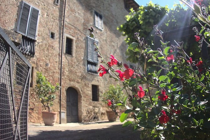 Guided tour with wine tasting and local organic products - Wine tasting and local organic products: what you’ll actually get