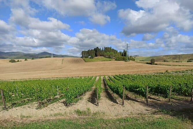 HALF-DAY: Chianti Classic Tour with Wine Experience & visit of San Gimignano - A half-day that feels like real Tuscany, not a stamp-collecting tour