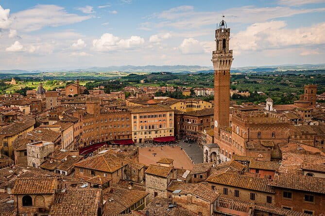 HALF-DAY: Chianti Classic Tour with Wine Experience & visit of San Gimignano - Who this tour suits best (and who should pick something else)