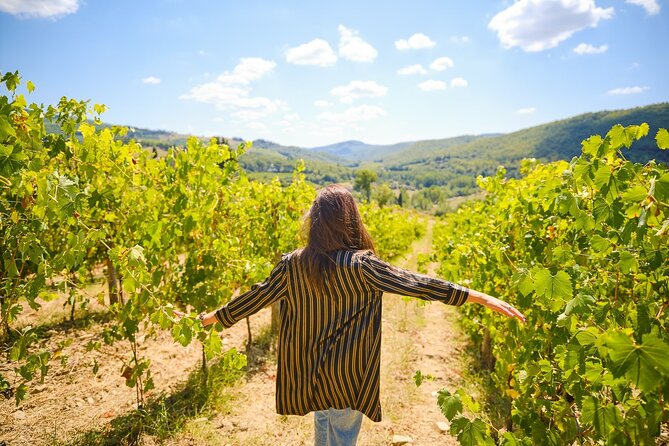 Half-day Experience to San Gimignano Hills with Picnic and Wine - The Chianti drive: scenery first, then tower city mode