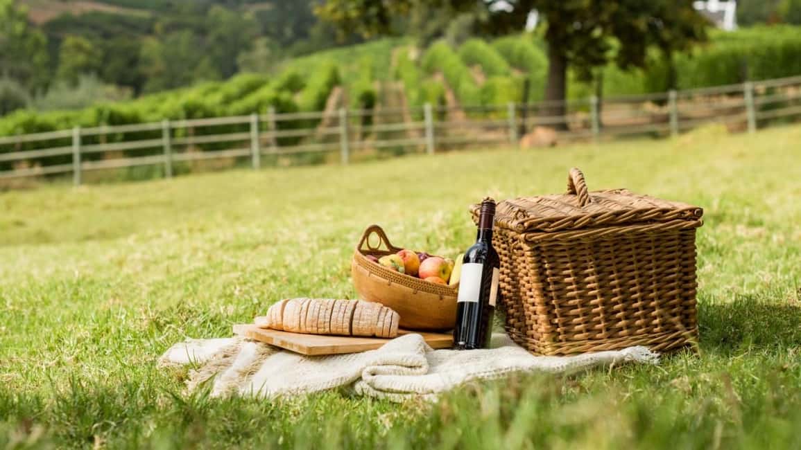 Half-day Hills Experience to San Gimignano with Pic Nic Wine - The Chianti Vineyard Picnic: Where the Day Turns Tasty