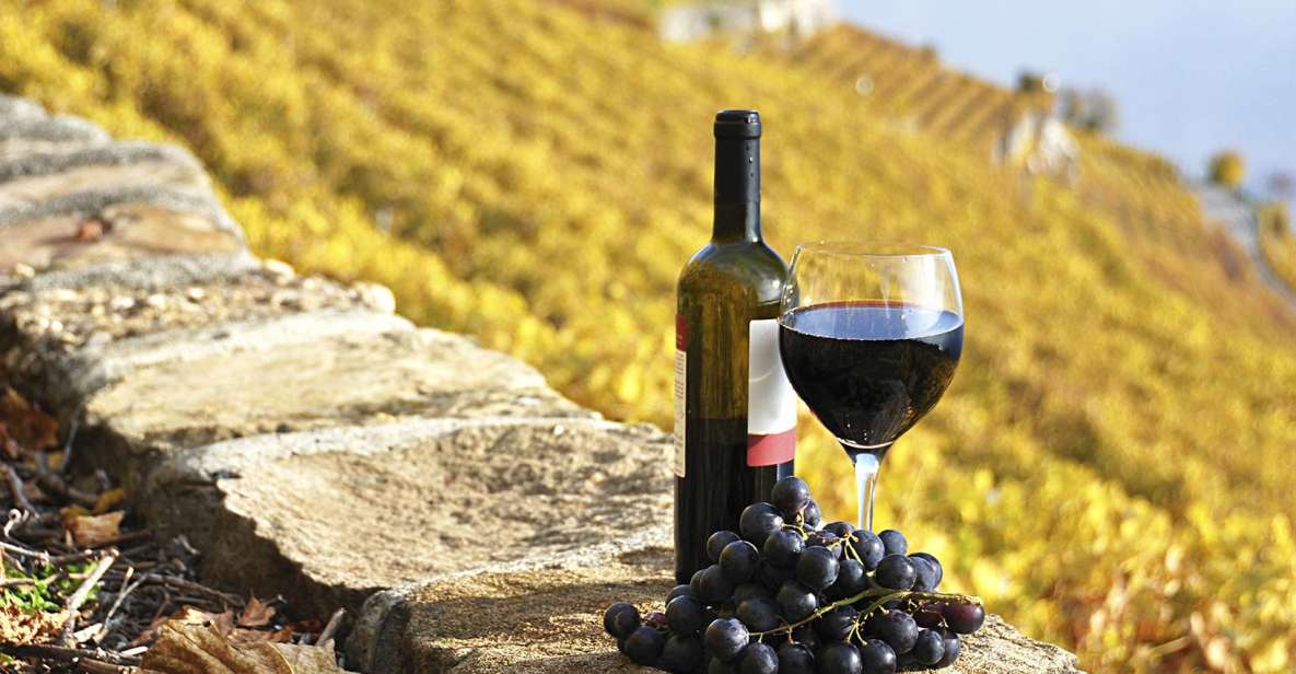 Half-Day Tour from Florence: Chianti Colors & Flavors - Key Things I’d Focus On
