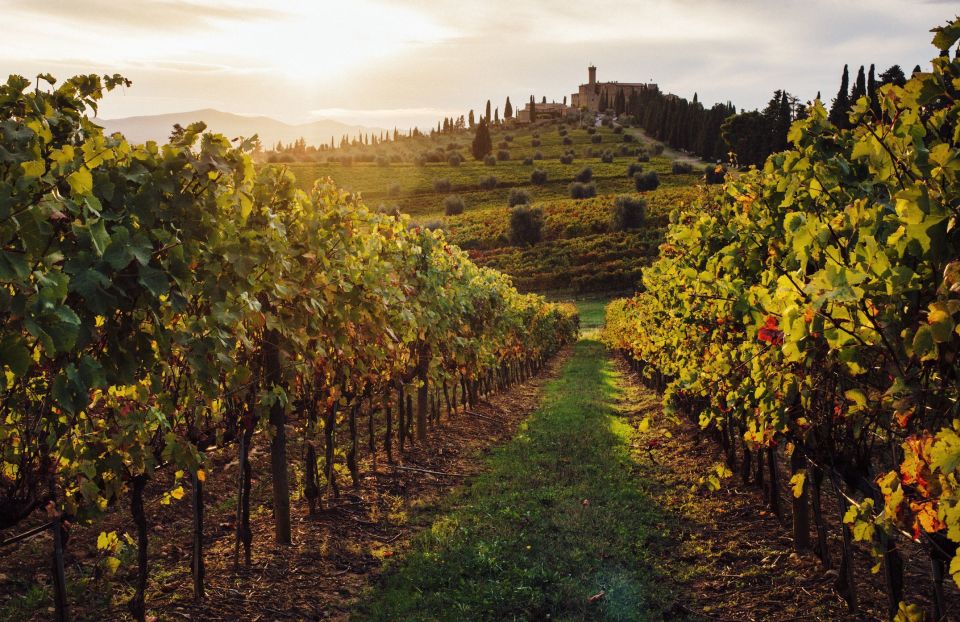 Half-Day Tour from Florence: Chianti Colors & Flavors - Should You Book Chianti Colors and Flavors?