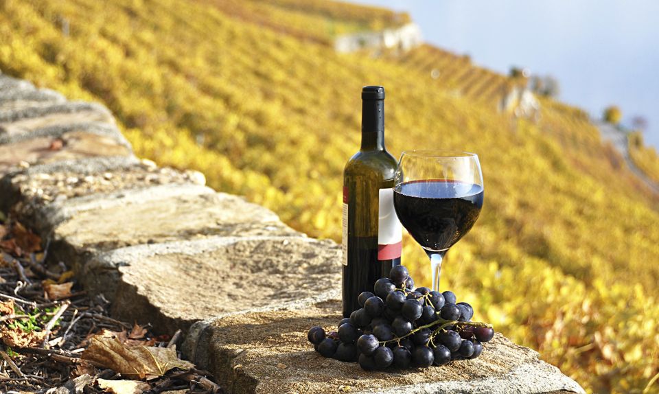 Half-Day Tour from Florence: Chianti Colors & Flavors - Greve in Chianti Free Time: Make It Count