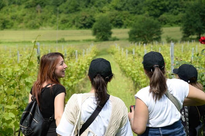 Hike & Wine Tour - Price and Value for a 3-Hour Florence Area Winery Day