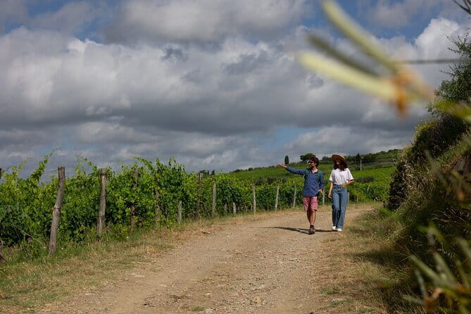 Hiking Tuscany & Chianti Wine - 3 Organic Wineries with lunch - The vibe: a wine day with real walking, not a bus tour